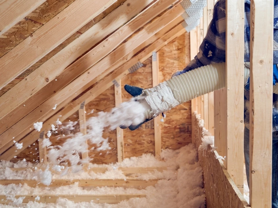 conseil en inspection immobilière